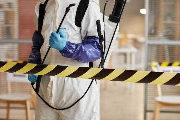 Professional Hoarding Cleanup technician working in Plymouth, NH
